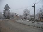 Třibřichy