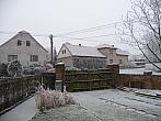 Třibřichy