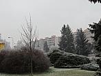 Neratovice