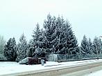 Hořice - Libonice