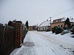 Třibřichy