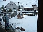Třibřichy