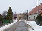 Třibřichy