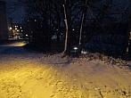 Borovina