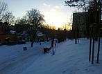 Borovina