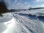 Borovina