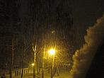 Borovina