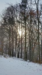 Frýdek-Místek