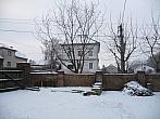 Třibřichy