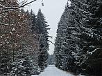 Dětenice-Brodek