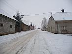 Třibřichy