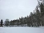 Vidov