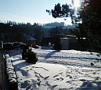 Borovina