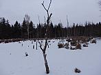 Dětenice-Brodek