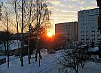Borovina