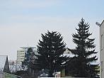 Neratovice