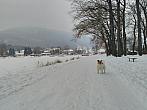 Osek
