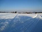 Borovina