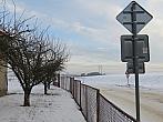 Třibřichy