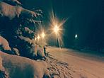 Borovina