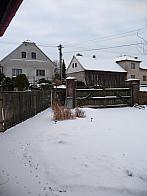 Třibřichy