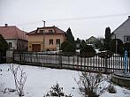Třibřichy