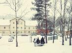 Borovina