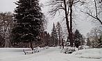 Varnsdorf