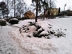 Borovina