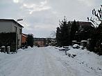 Borovina