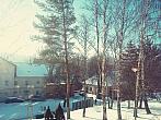Borovina