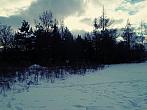 Borovina