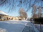 Třibřichy