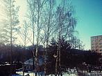 Borovina