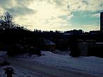 Borovina