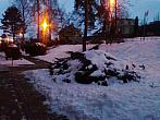 Borovina
