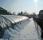 Borovina