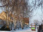 Třibřichy