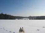 Němčice Zhoř