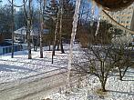 Borovina