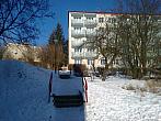 Borovina