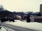 Borovina