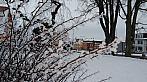 Tachov