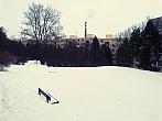 Borovina