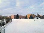 Borovina