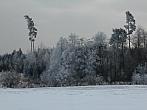 Vítkov