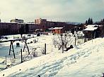 Borovina