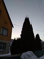 Skalité