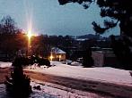 Borovina