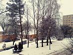 Borovina